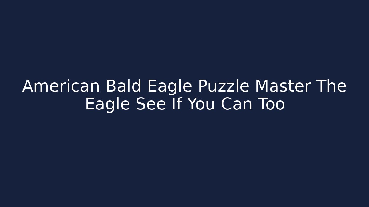 American Bald Eagle Puzzle Master The Eagle See If You Can Too