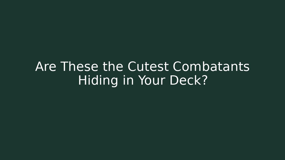 Are These the Cutest Combatants Hiding in Your Deck? - Felix Cat Insurance