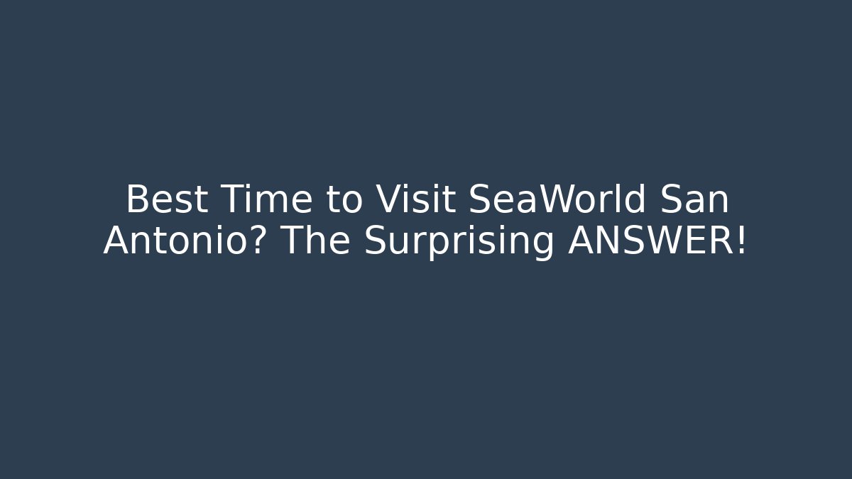 Best Time to Visit SeaWorld San Antonio? The Surprising ANSWER! - Felix Cat Insurance
