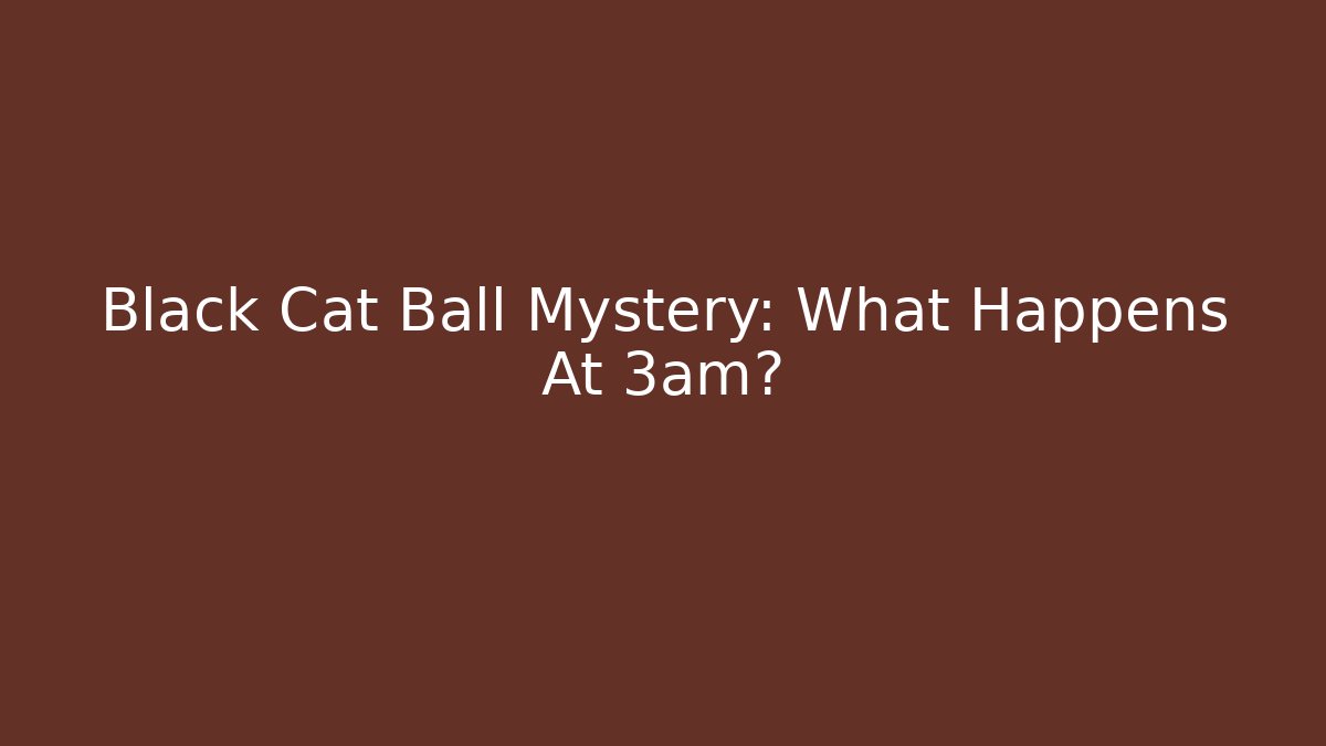 Black Cat Ball Mystery: What Happens At 3am?