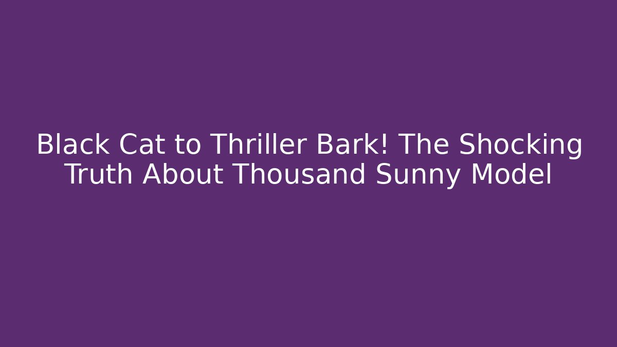 Black Cat to Thriller Bark! The Shocking Truth About Thousand Sunny Model