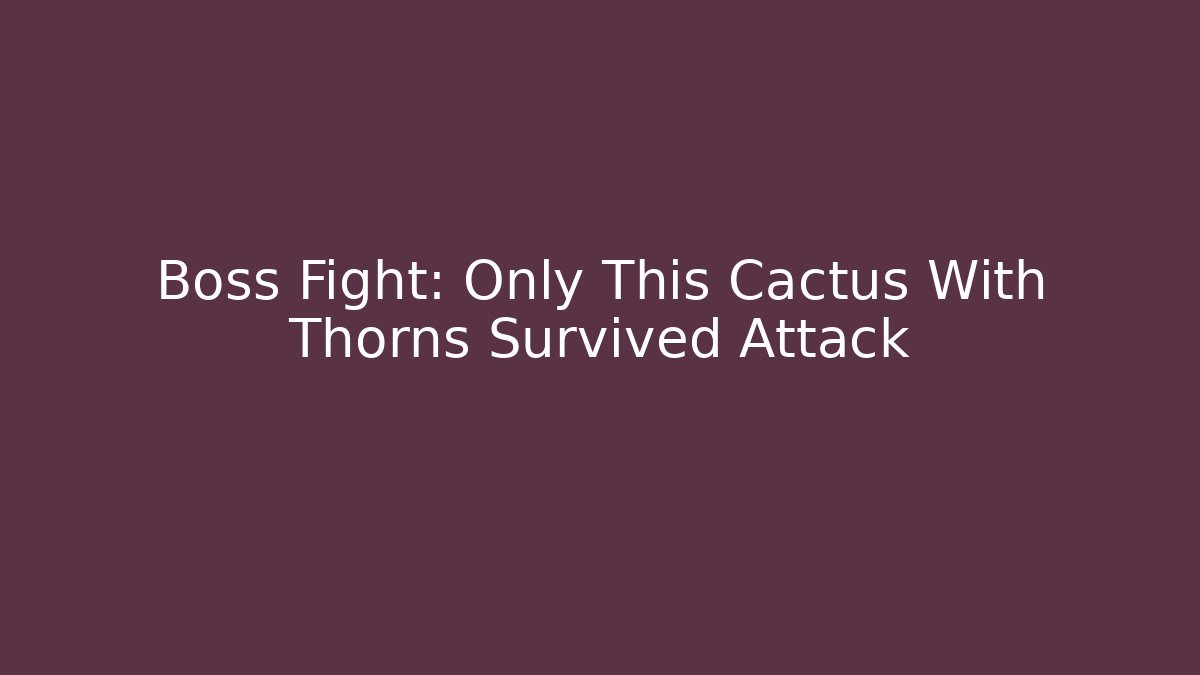 Boss Fight: Only This Cactus With Thorns Survived Attack - Felix Cat Insurance