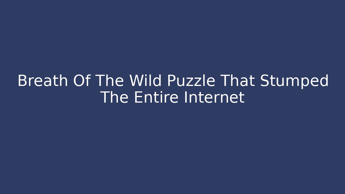 Breath Of The Wild Puzzle That Stumped The Entire Internet