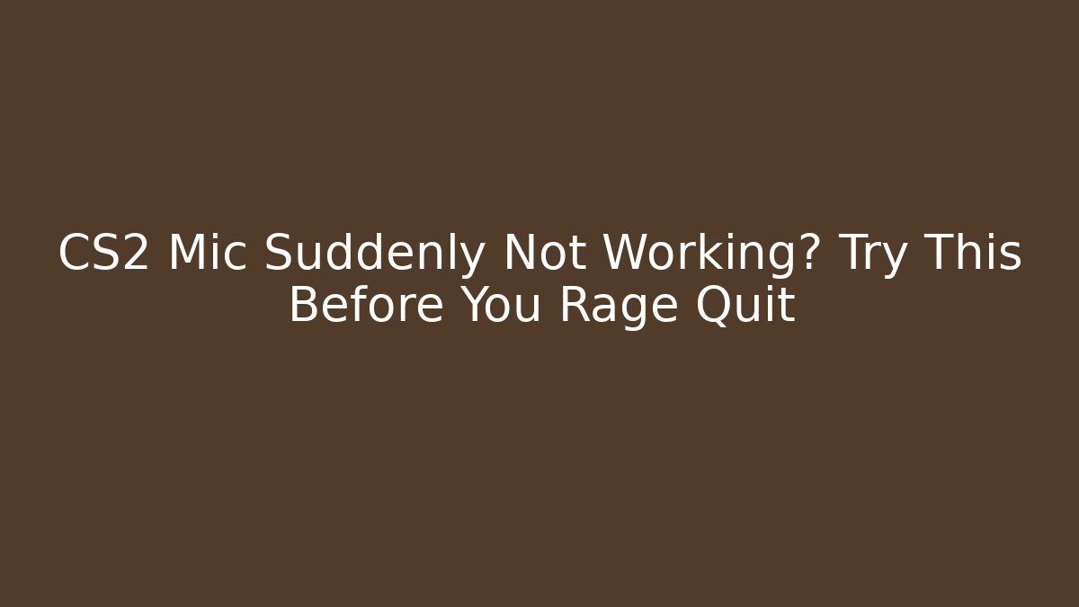 CS2 Mic Suddenly Not Working? Try This Before You Rage Quit - Felix Cat Insurance