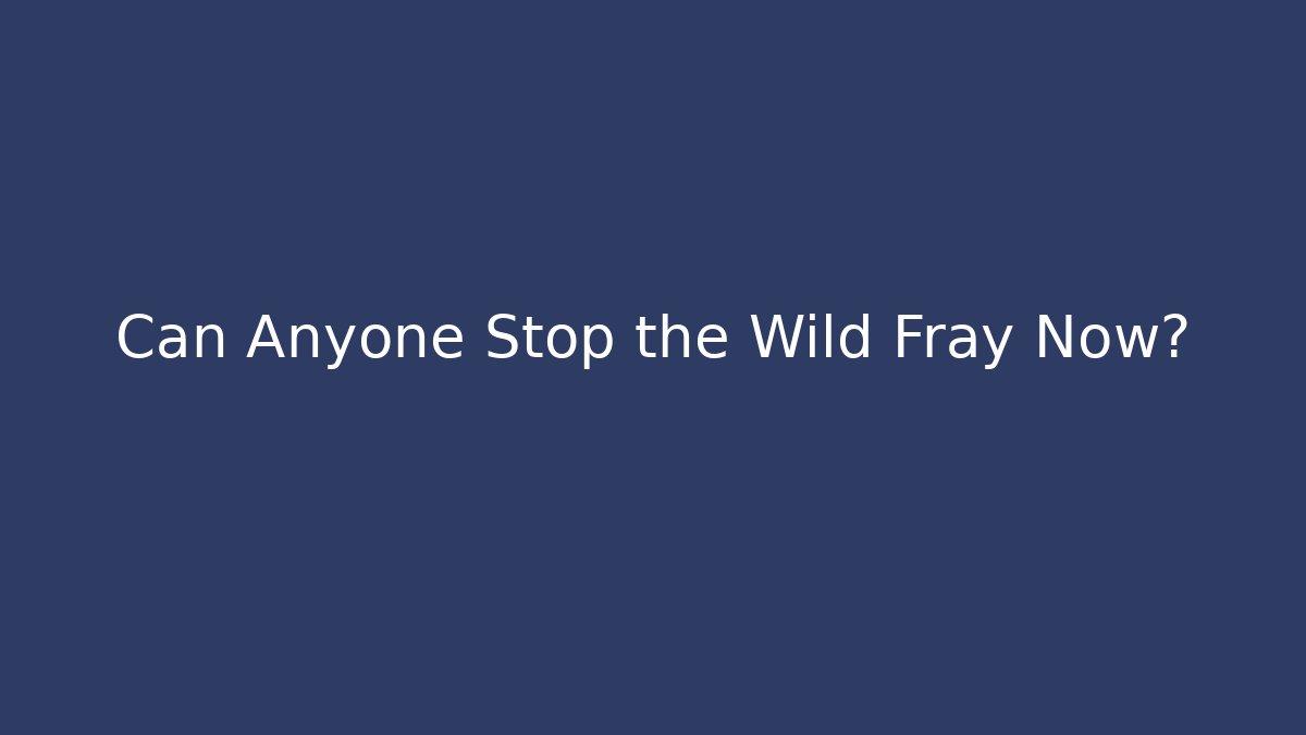 Can Anyone Stop the Wild Fray Now?