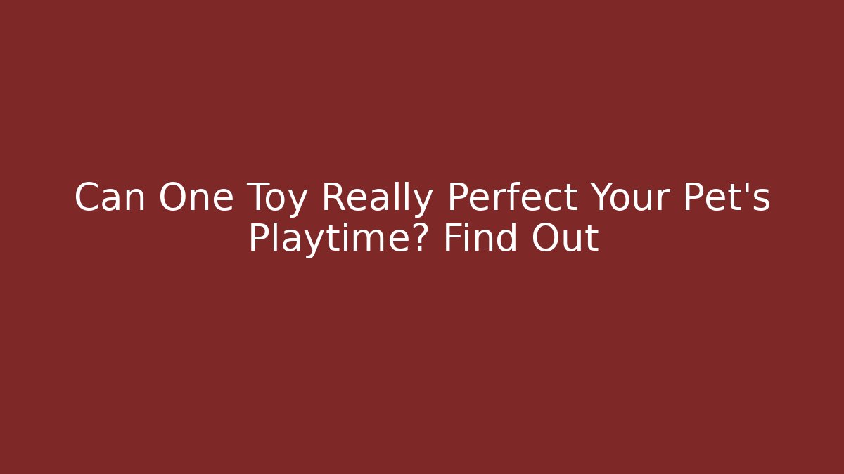 Can One Toy Really Perfect Your Pet's Playtime? Find Out