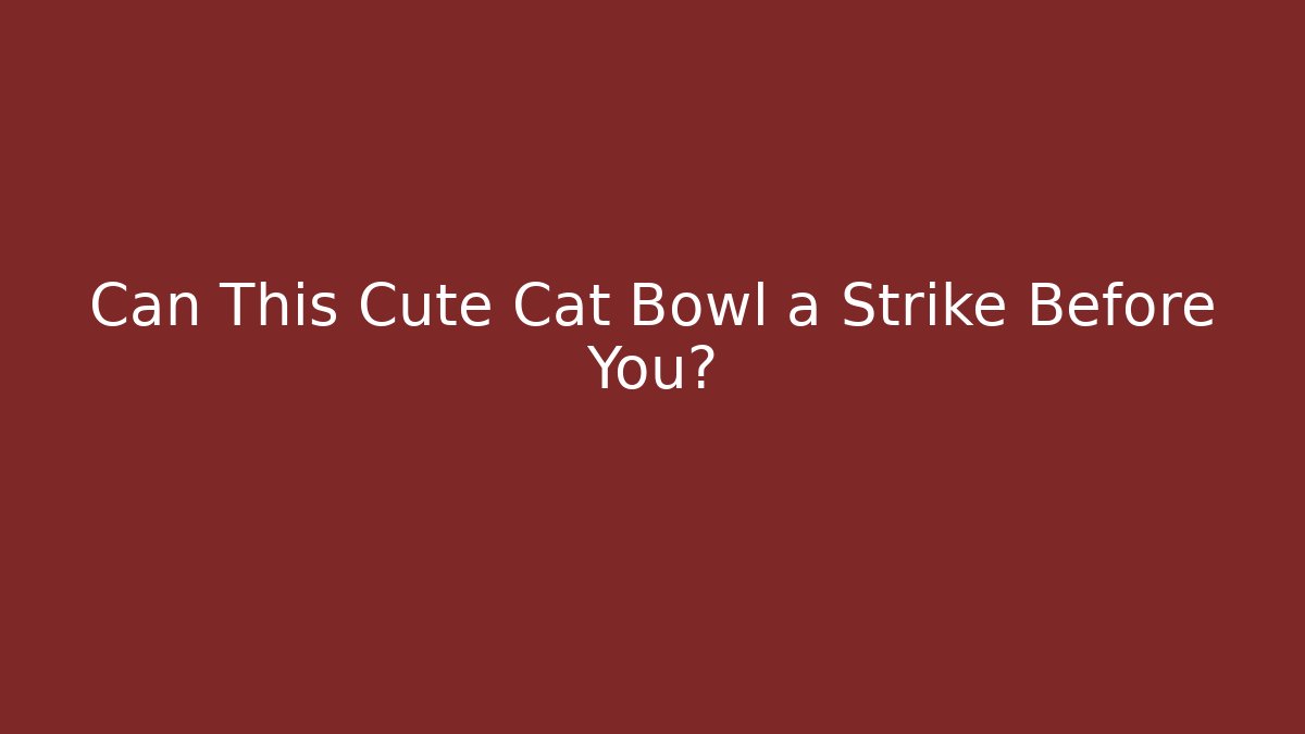 Can This Cute Cat Bowl a Strike Before You?