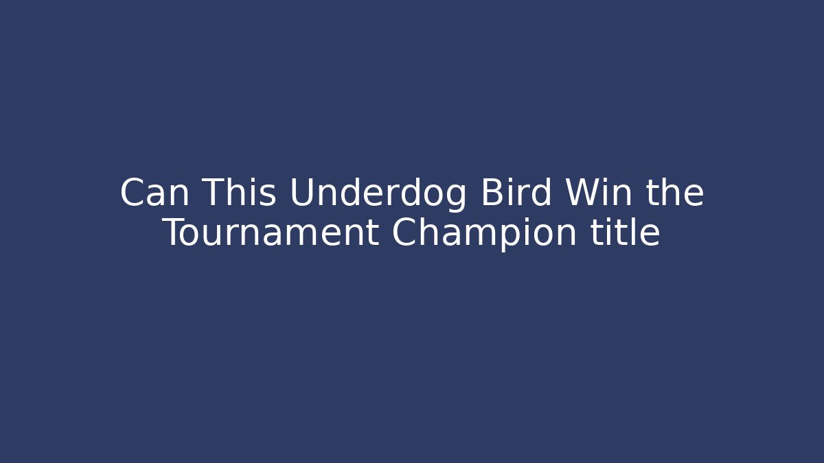 Can This Underdog Bird Win the Tournament Champion title