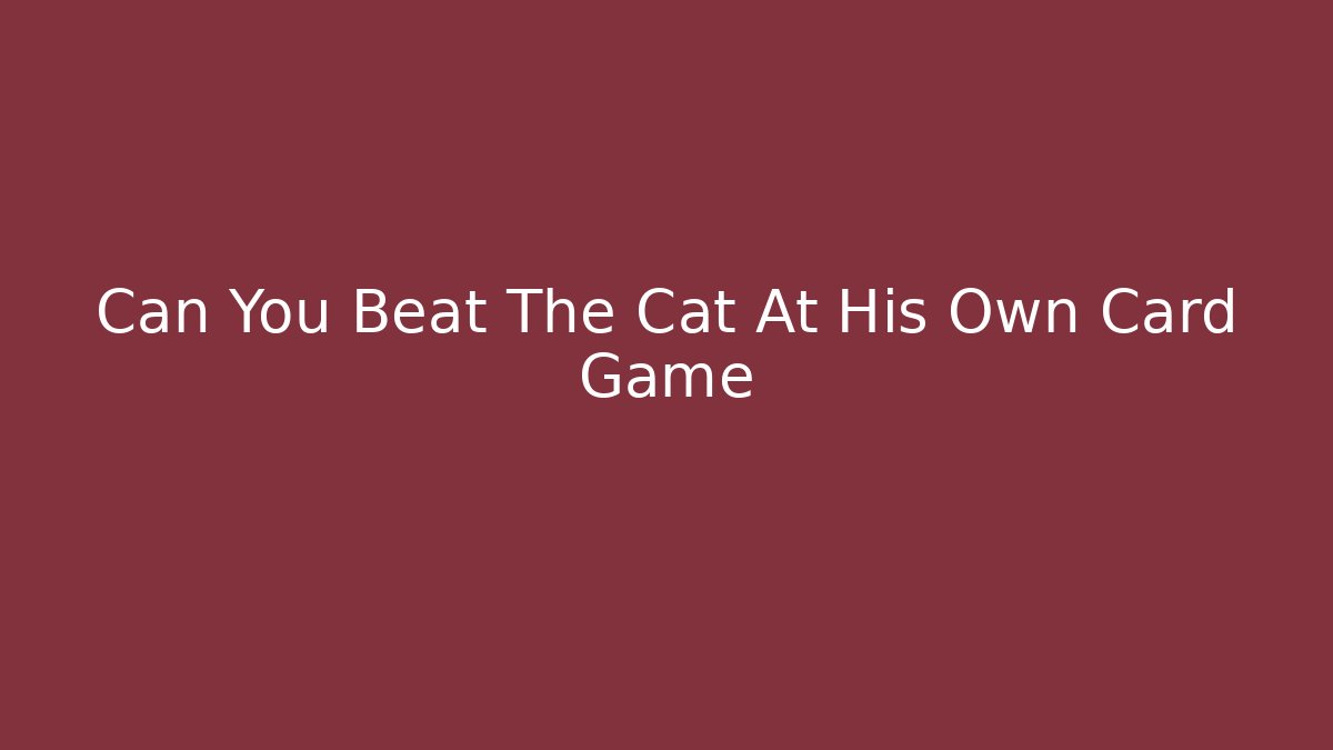 Can You Beat The Cat At His Own Card Game
