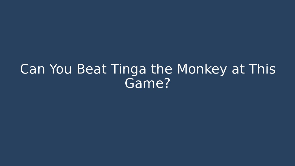 Can You Beat Tinga the Monkey at This Game?