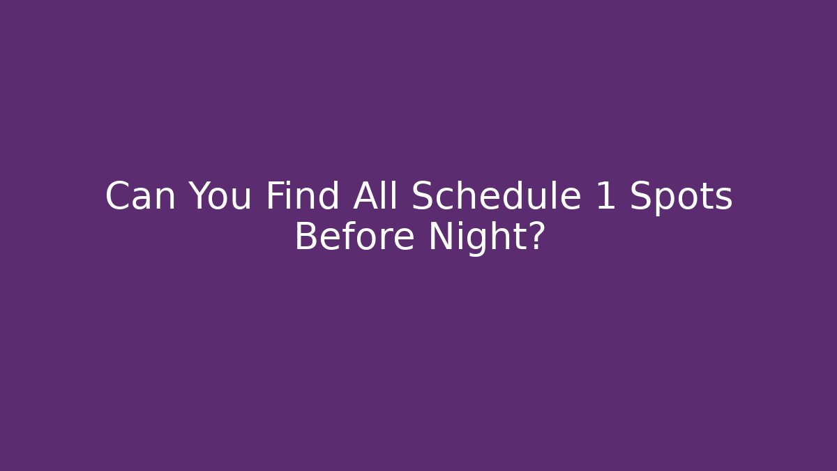 Can You Find All Schedule 1 Spots Before Night?