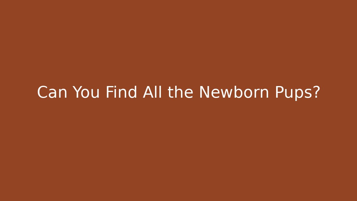Can You Find All the Newborn Pups?