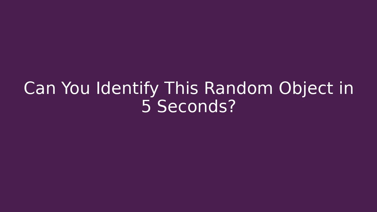 Can You Identify This Random Object in 5 Seconds?