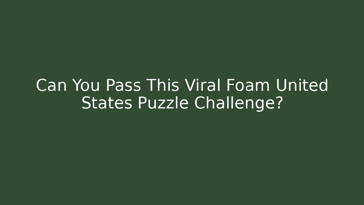 Can You Pass This Viral Foam United States Puzzle Challenge?