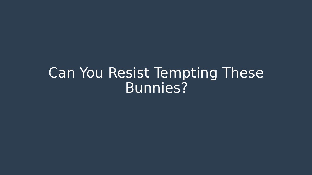 Can You Resist Tempting These Bunnies?