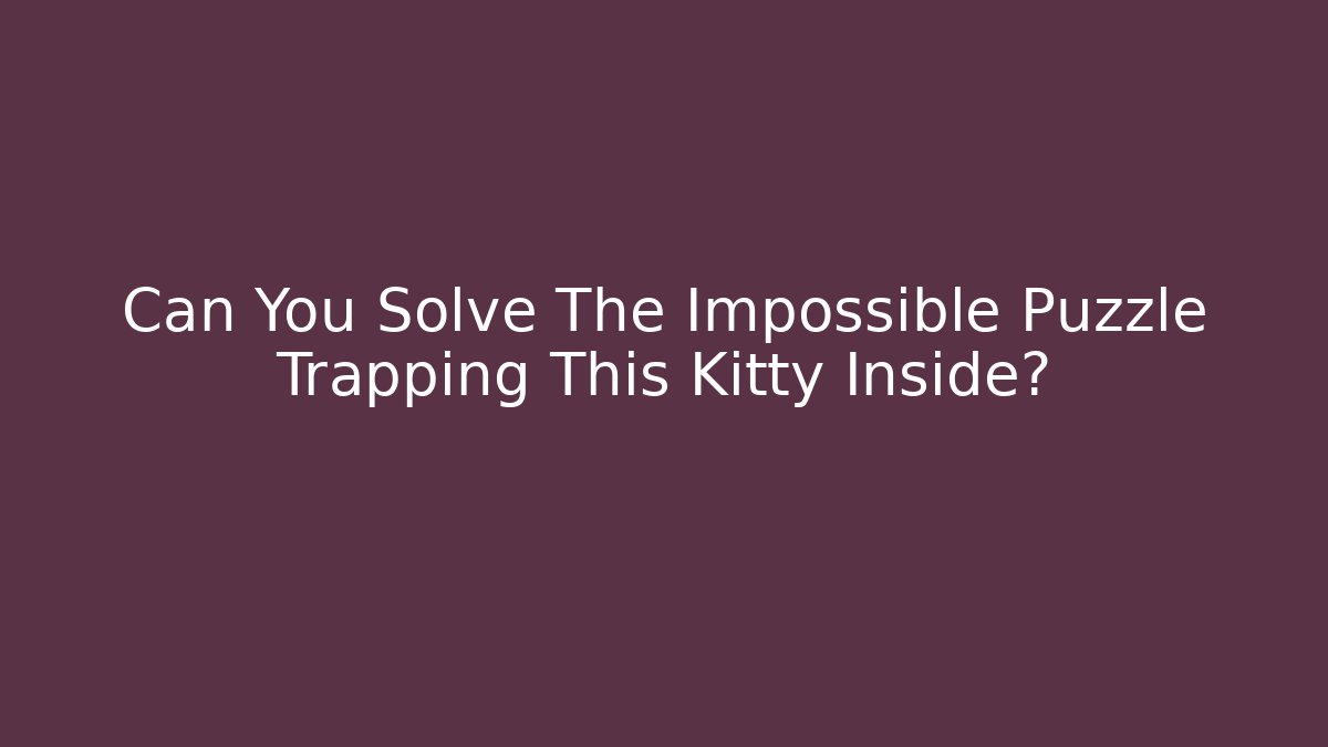 Can You Solve The Impossible Puzzle Trapping This Kitty Inside?