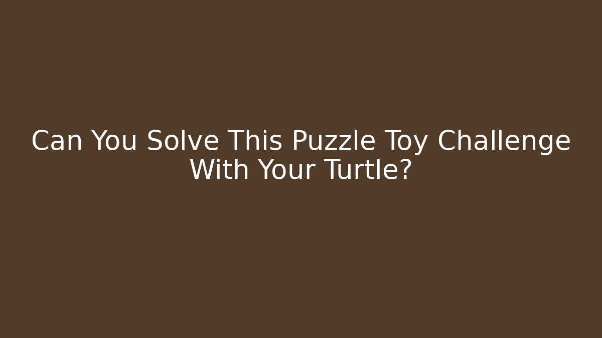 Can You Solve This Puzzle Toy Challenge With Your Turtle?