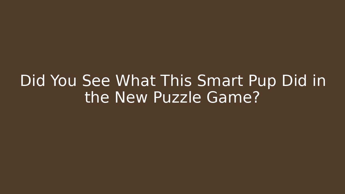Did You See What This Smart Pup Did in the New Puzzle Game?