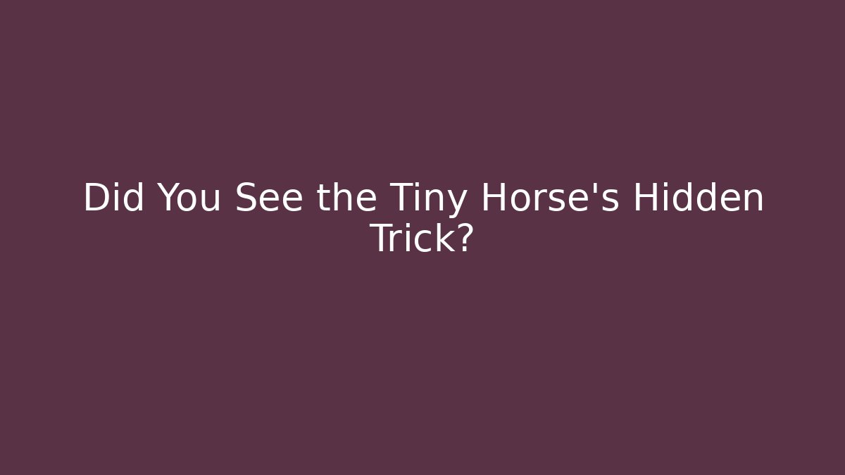 Did You See the Tiny Horse's Hidden Trick? - Felix Cat Insurance