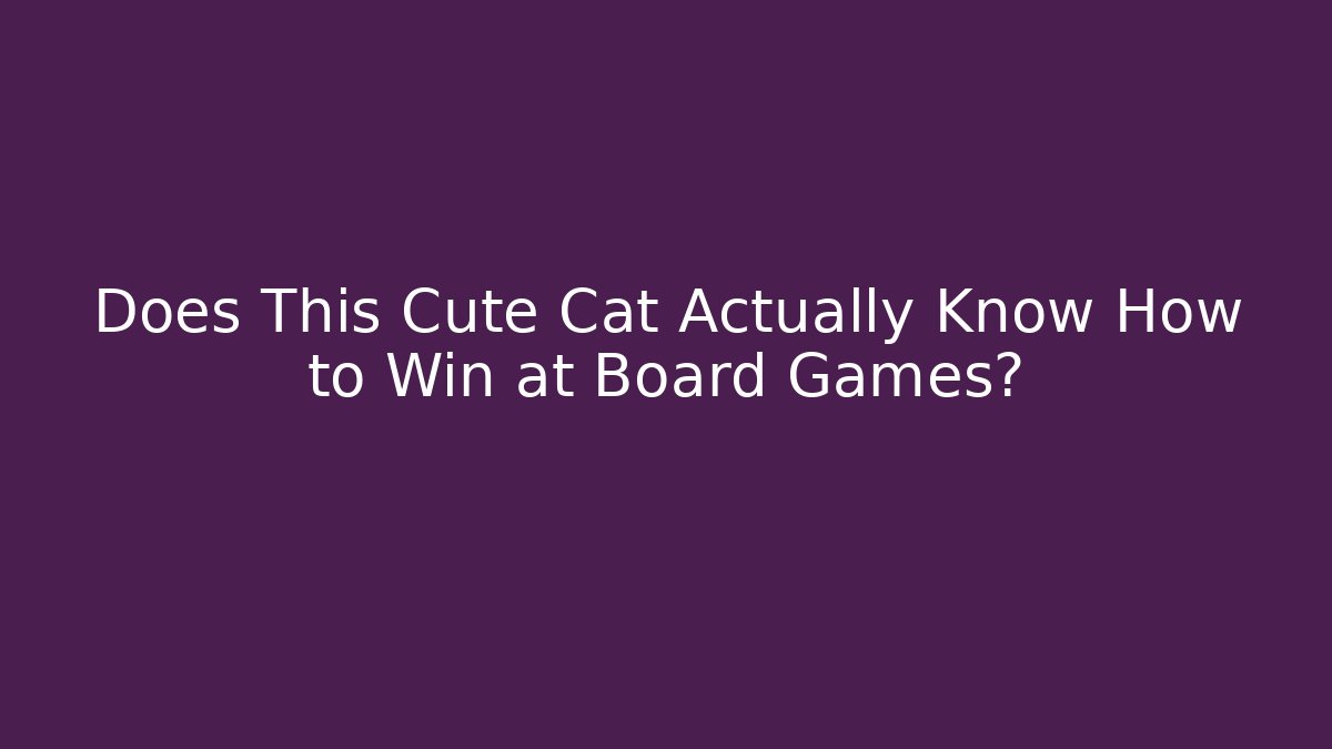 Does This Cute Cat Actually Know How to Win at Board Games? - Felix Cat Insurance
