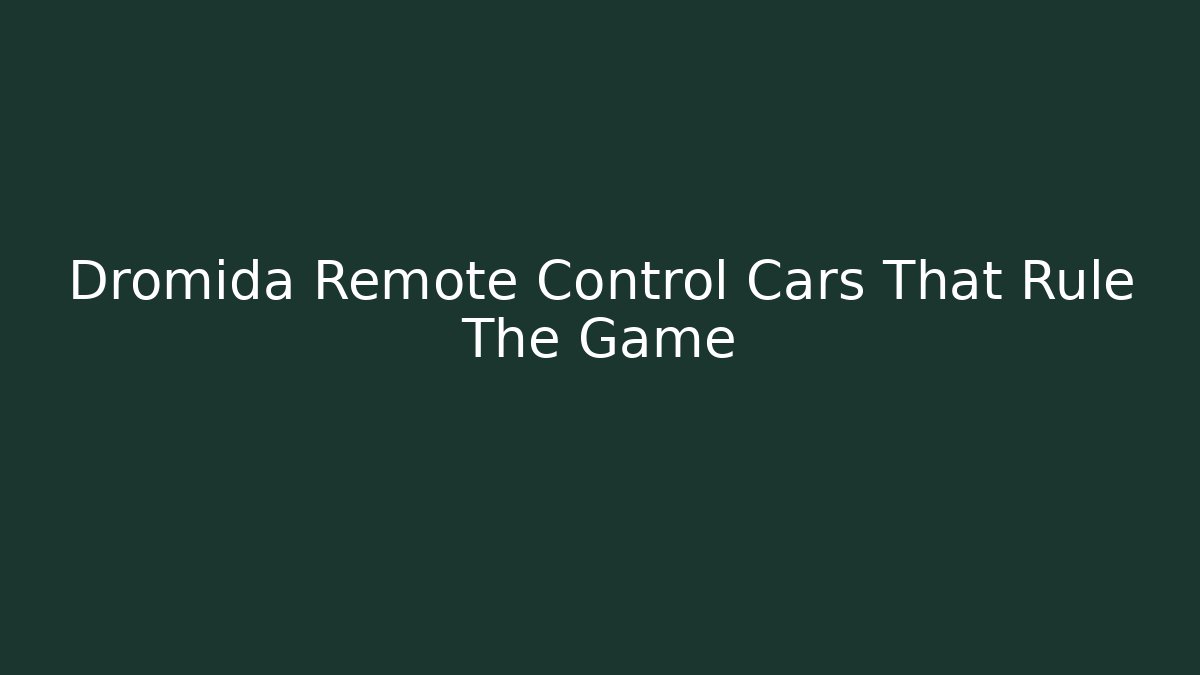 Dromida Remote Control Cars That Rule The Game - Felix Cat Insurance