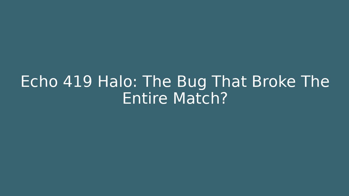 Echo 419 Halo: The Bug That Broke The Entire Match? - Felix Cat Insurance