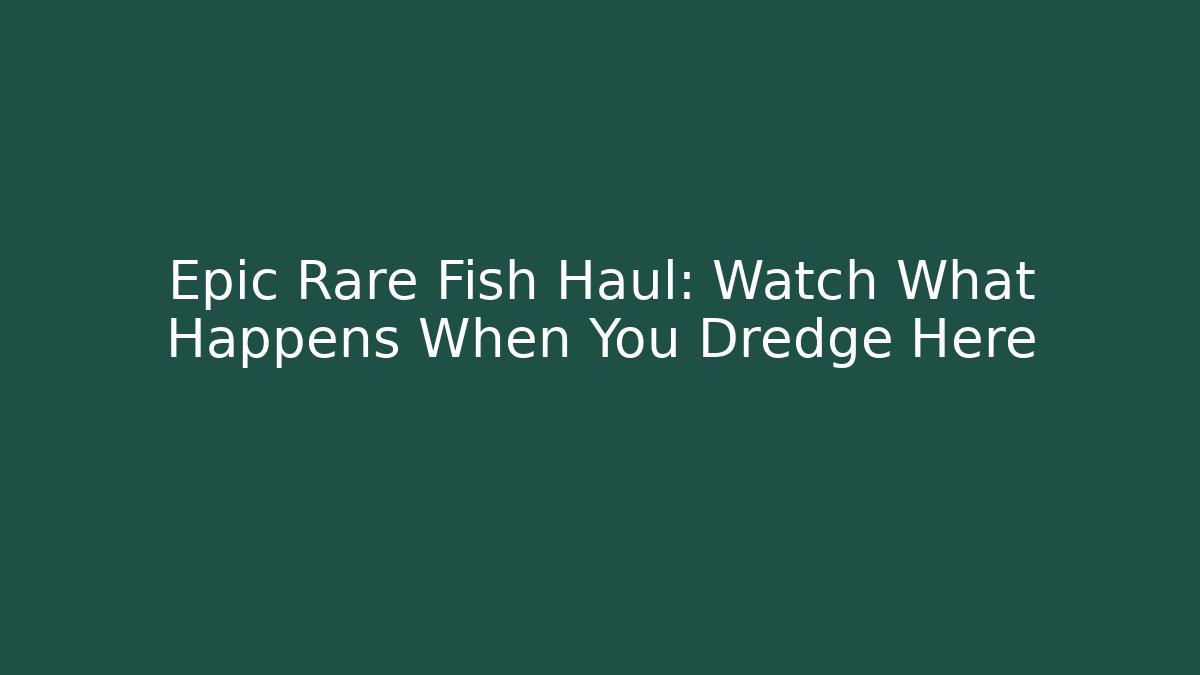 Epic Rare Fish Haul: Watch What Happens When You Dredge Here - Felix Cat Insurance