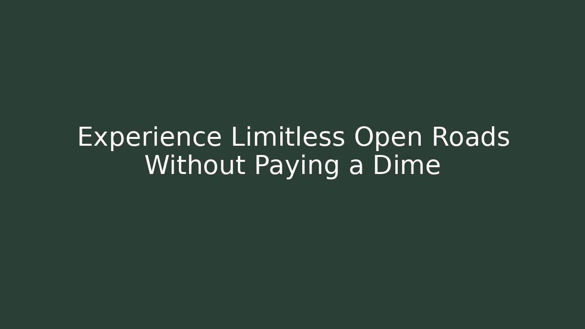 Experience Limitless Open Roads Without Paying a Dime - Felix Cat Insurance