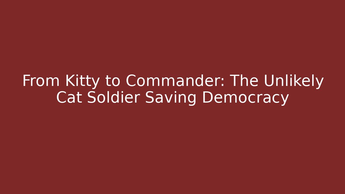 From Kitty to Commander: The Unlikely Cat Soldier Saving Democracy