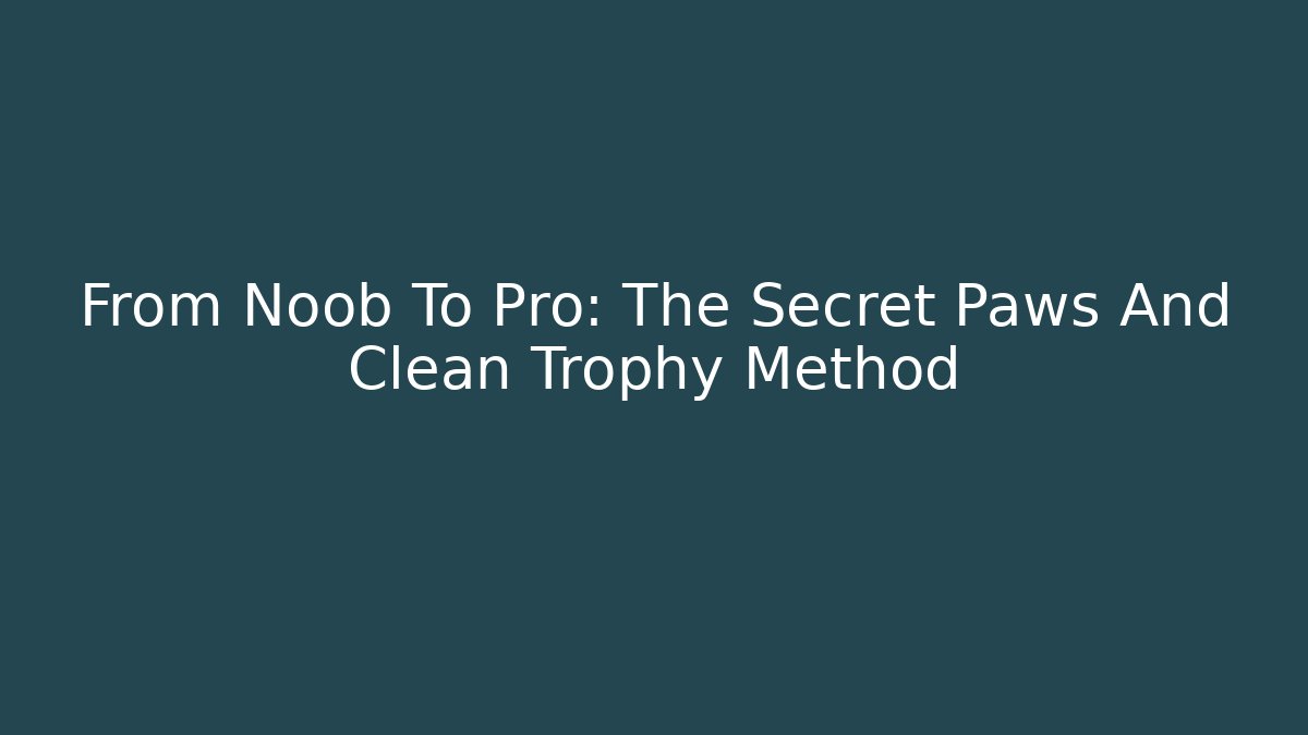 From Noob To Pro: The Secret Paws And Clean Trophy Method