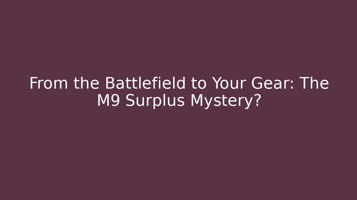 From the Battlefield to Your Gear: The M9 Surplus Mystery?