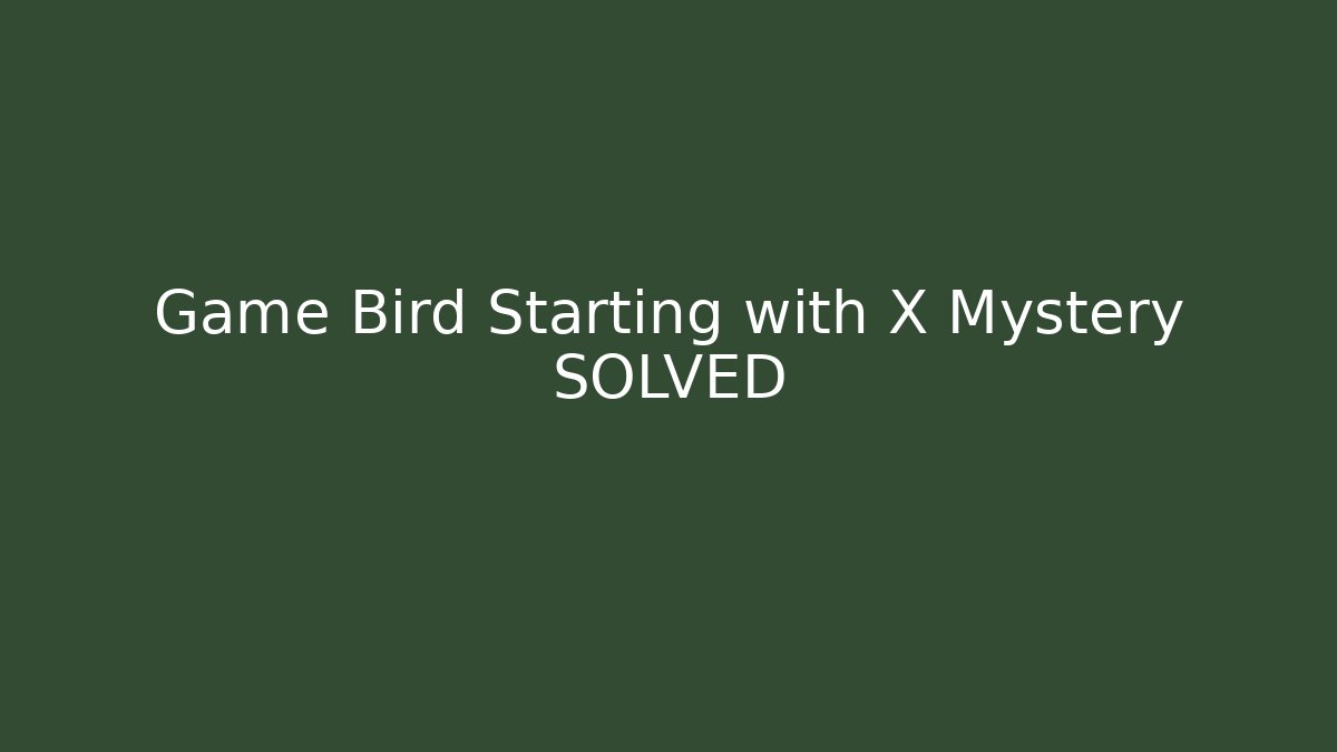 Game Bird Starting with X Mystery SOLVED - Felix Cat Insurance