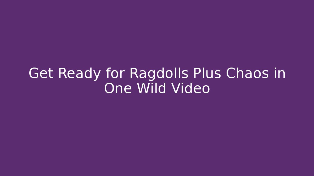 Get Ready for Ragdolls Plus Chaos in One Wild Video