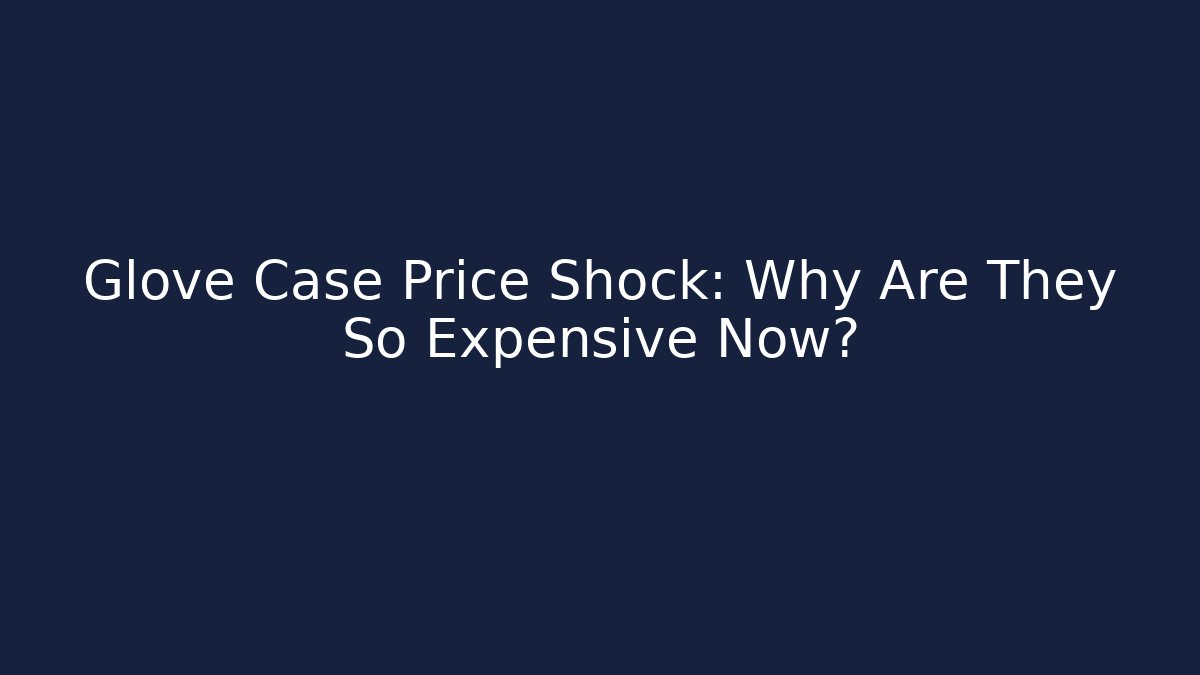 Glove Case Price Shock: Why Are They So Expensive Now?
