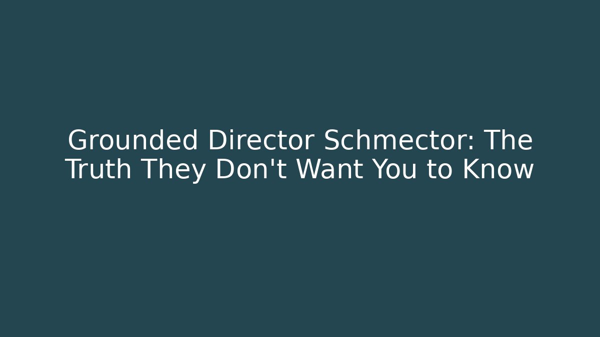 Grounded Director Schmector: The Truth They Don't Want You to Know