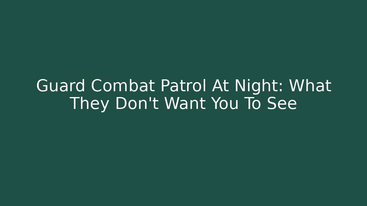 Guard Combat Patrol At Night: What They Don't Want You To See