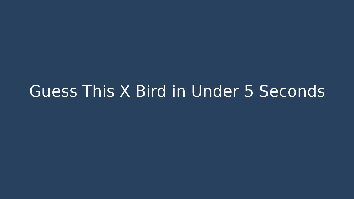 Guess This X Bird in Under 5 Seconds