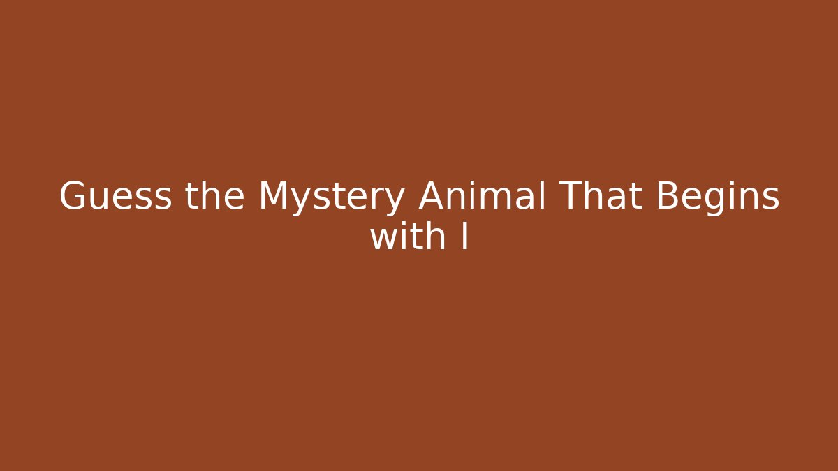 Guess the Mystery Animal That Begins with I - Felix Cat Insurance