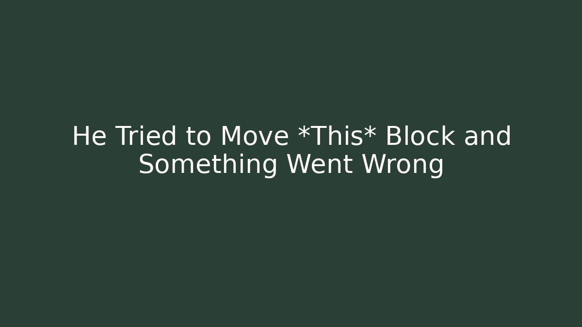 He Tried to Move *This* Block and Something Went Wrong - Felix Cat Insurance