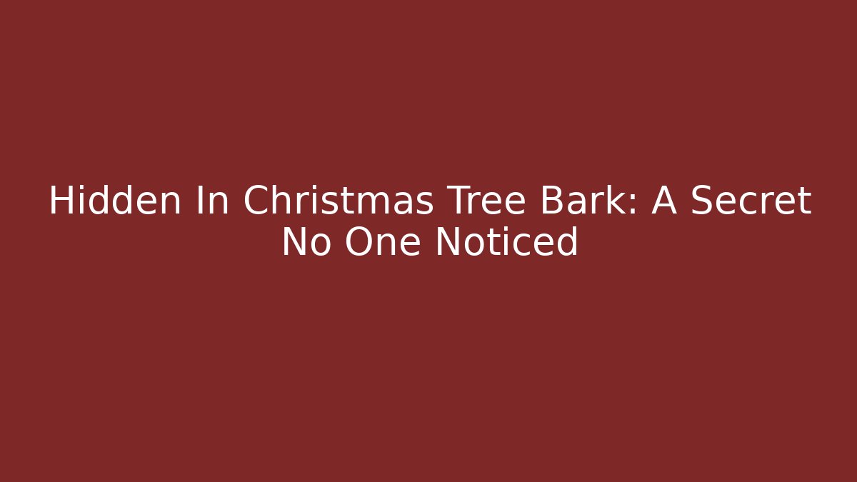 Hidden In Christmas Tree Bark: A Secret No One Noticed - Felix Cat Insurance