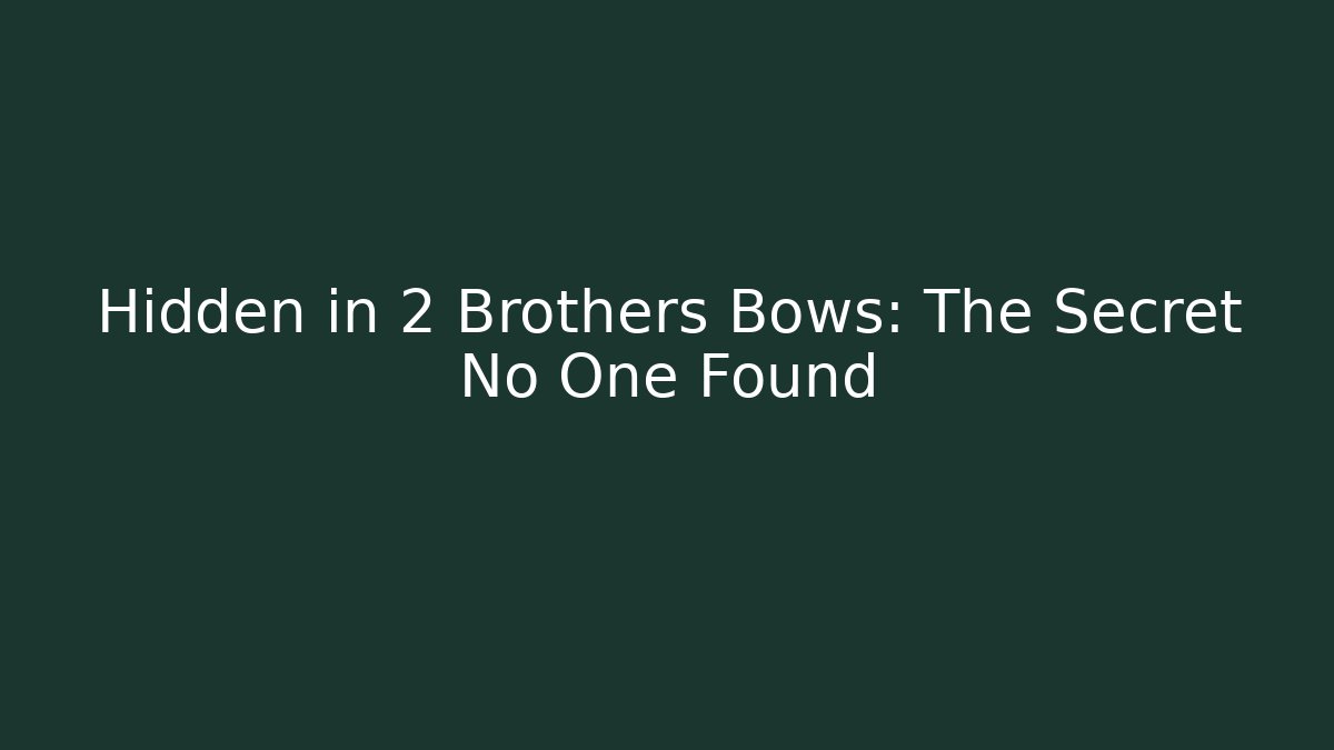 Hidden in 2 Brothers Bows: The Secret No One Found