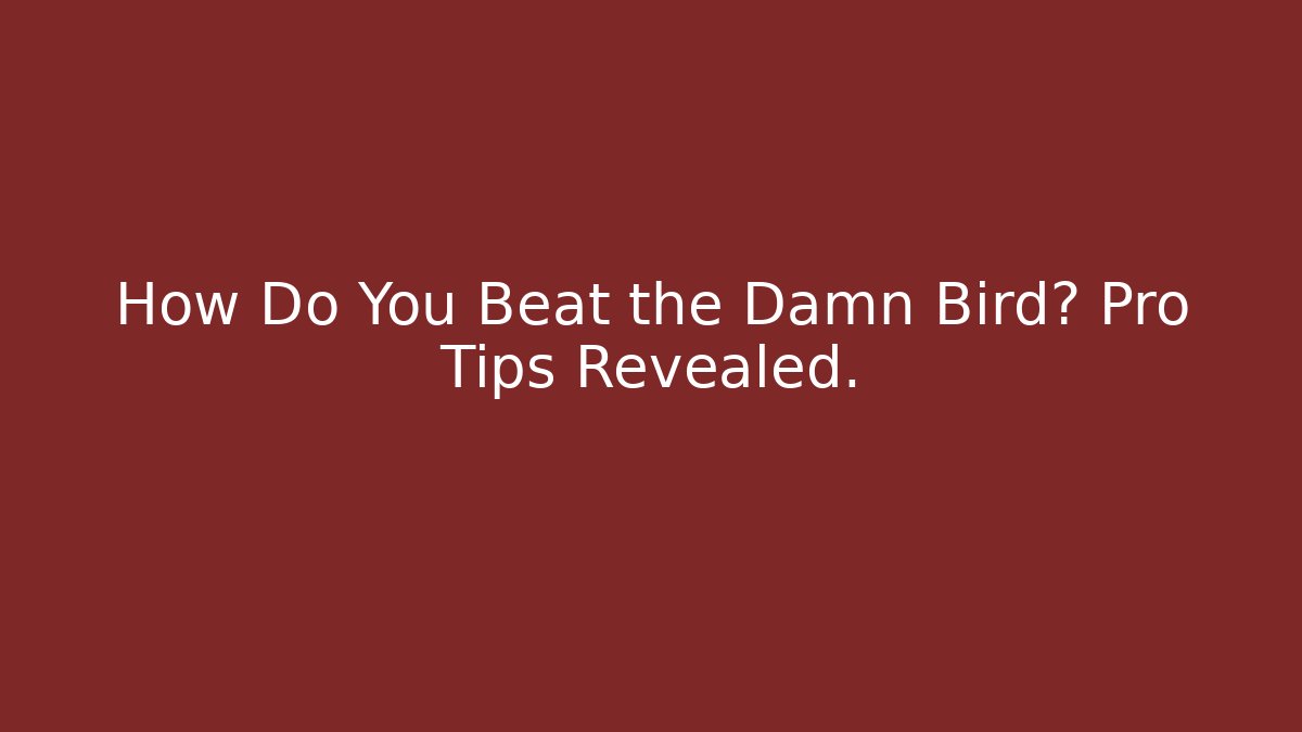 How Do You Beat the Damn Bird? Pro Tips Revealed. - Felix Cat Insurance