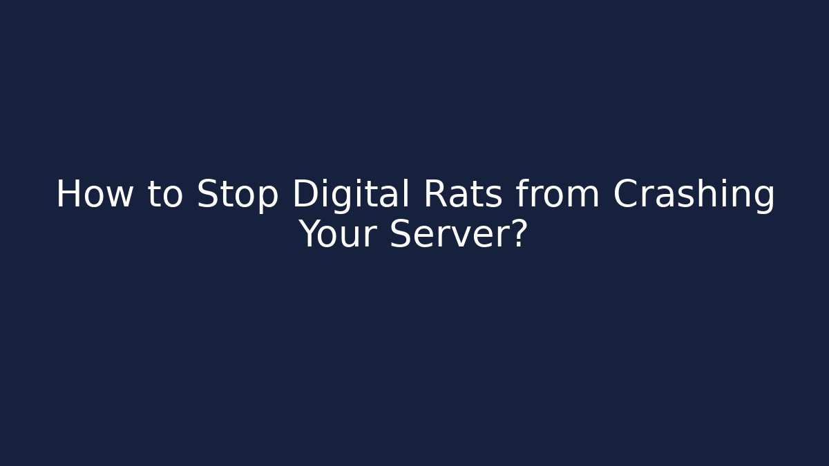 How to Stop Digital Rats from Crashing Your Server? - Felix Cat Insurance