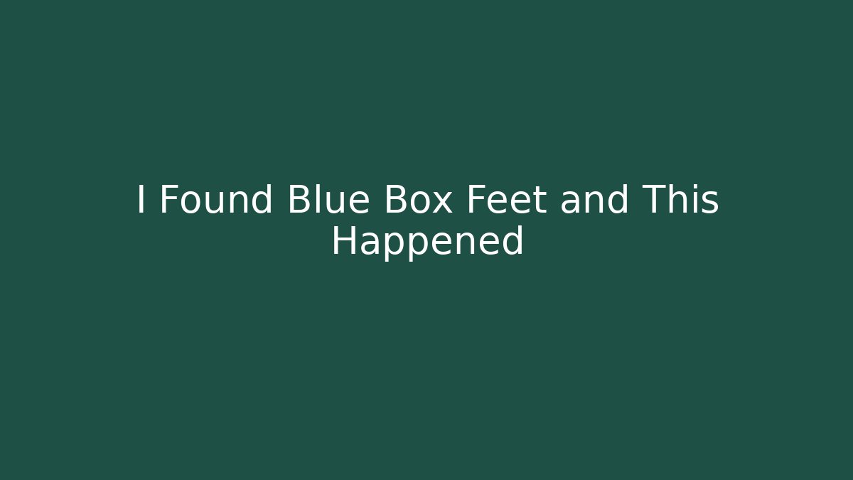 I Found Blue Box Feet and This Happened
