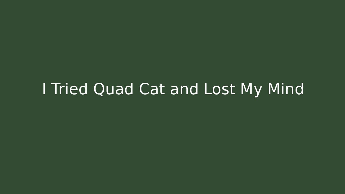 I Tried Quad Cat and Lost My Mind