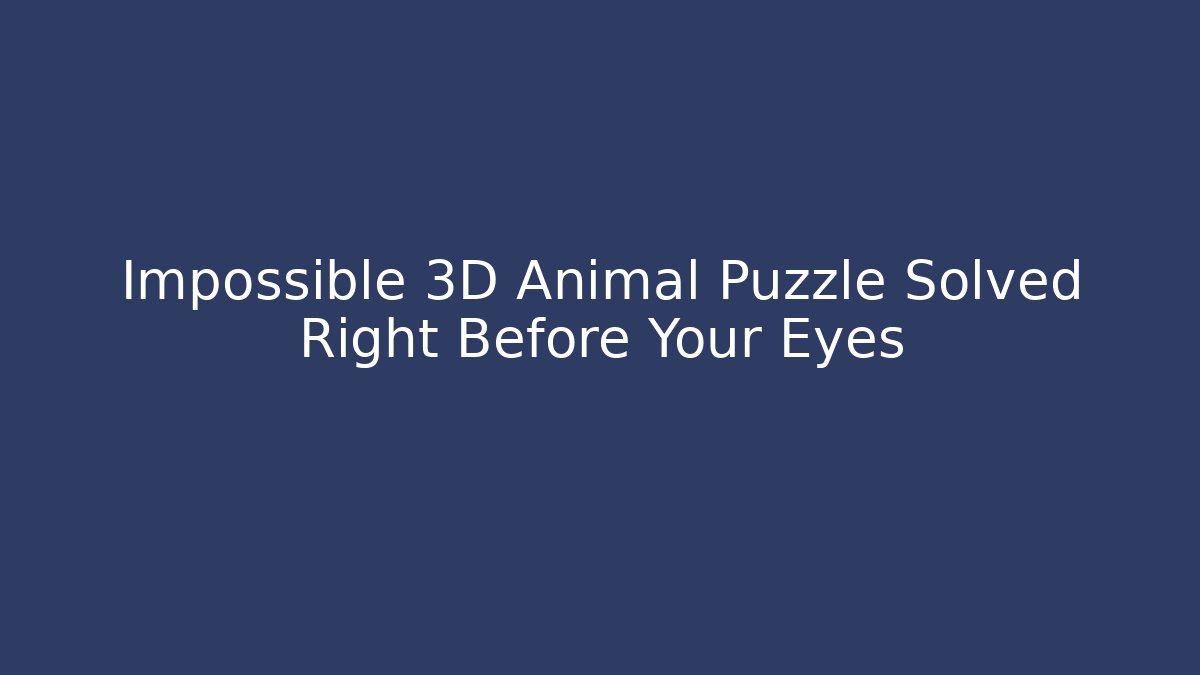 Impossible 3D Animal Puzzle Solved Right Before Your Eyes