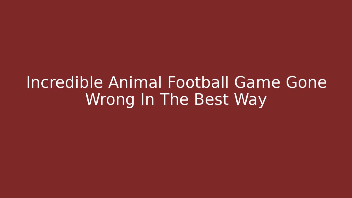 Incredible Animal Football Game Gone Wrong In The Best Way