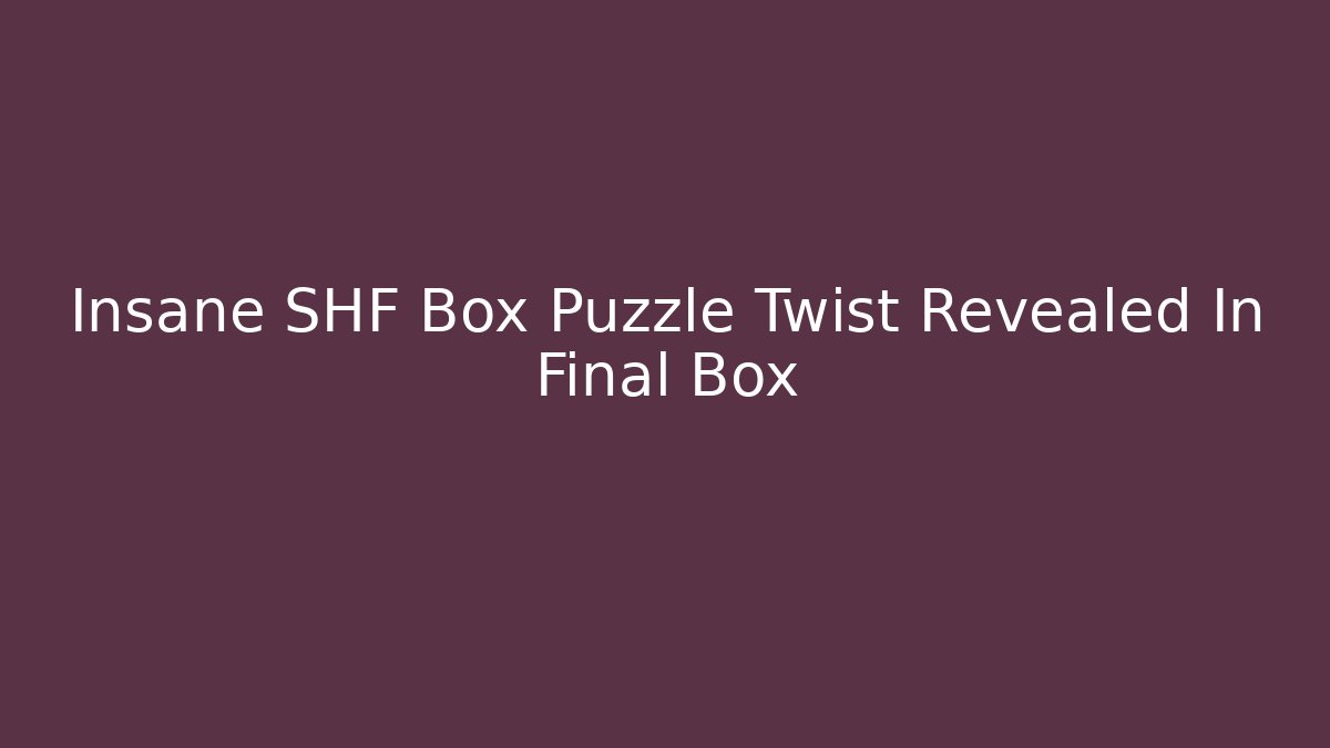 Insane SHF Box Puzzle Twist Revealed In Final Box