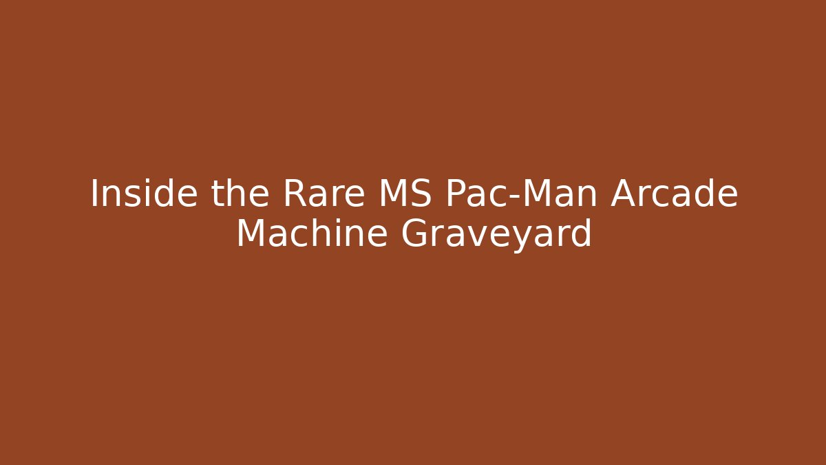 Inside the Rare MS Pac-Man Arcade Machine Graveyard - Felix Cat Insurance