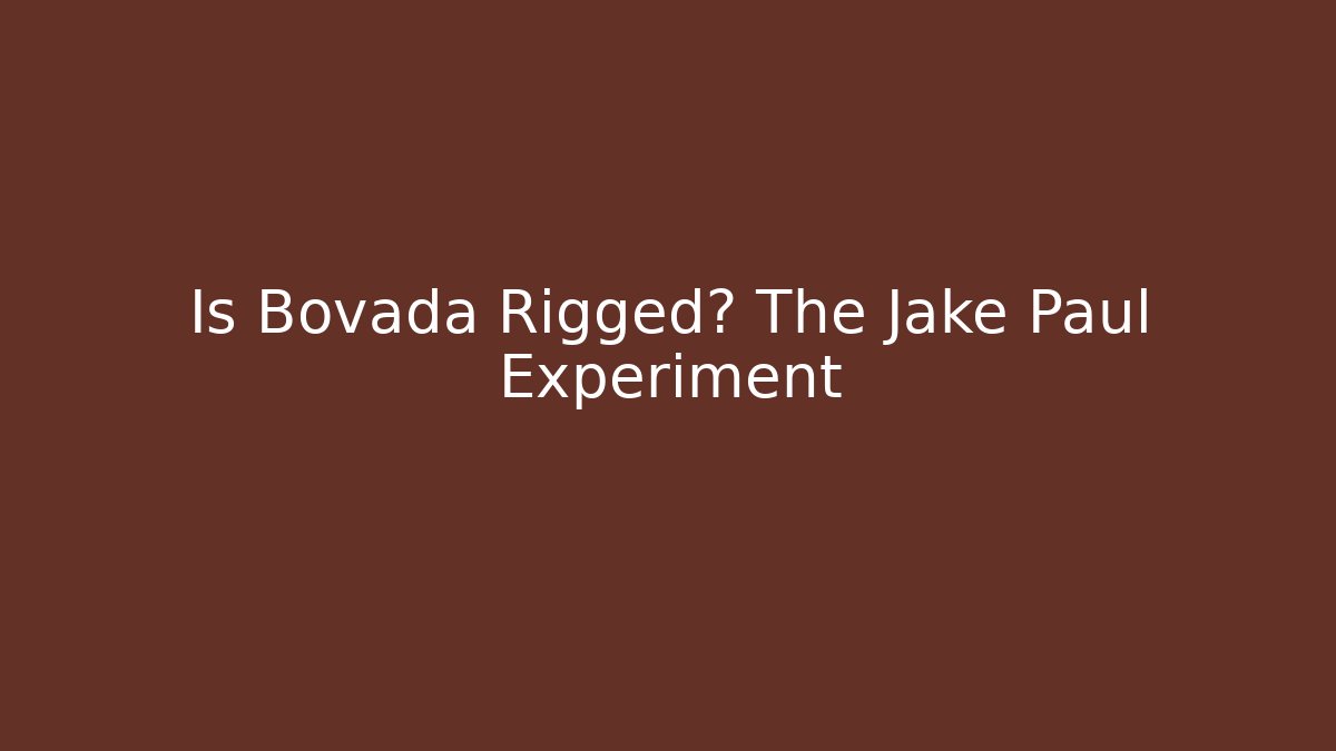 Is Bovada Rigged? The Jake Paul Experiment - Felix Cat Insurance